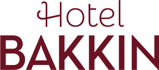 Hotel Bakkin